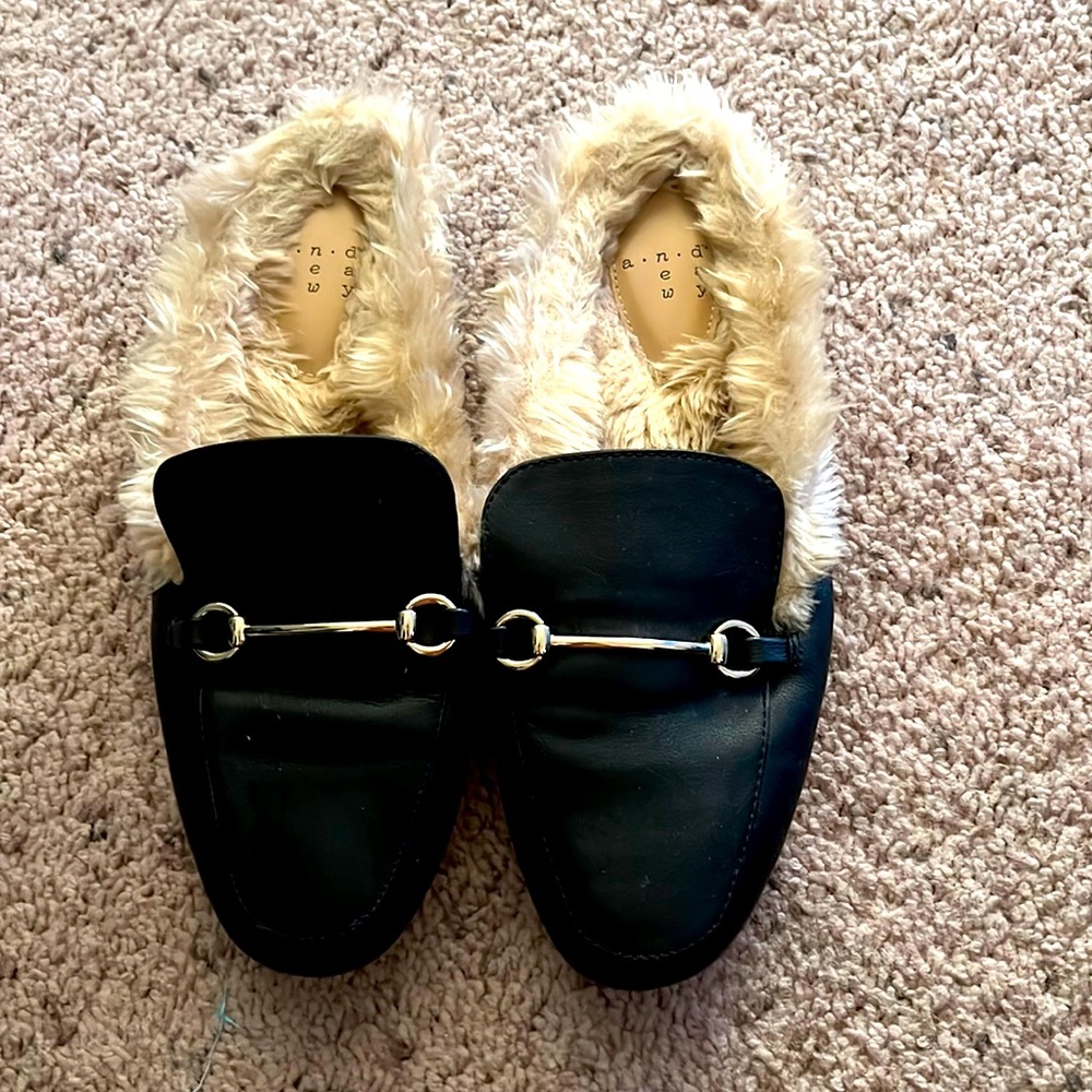 A New Day Shoes